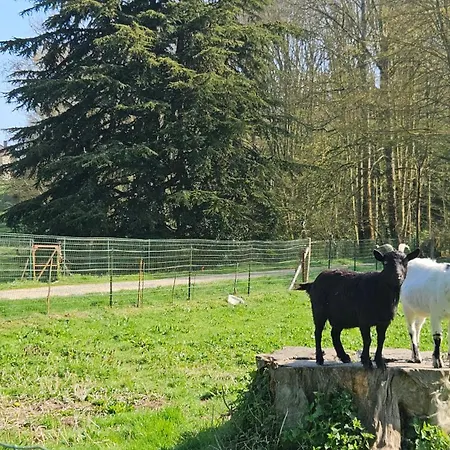 Les Dependances Du Chateau De *